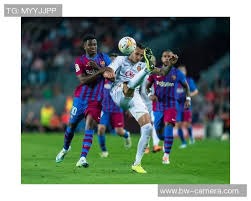 新兴博彩形态的用户接受度（用户对新型博彩模式的接受度）